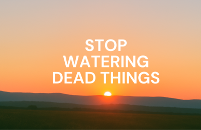 Stop Watering Dead Things — Protect Your Peace