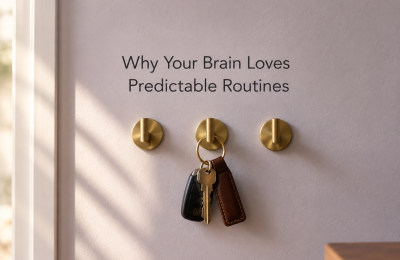 Why Your Brain Loves Predictable Routines